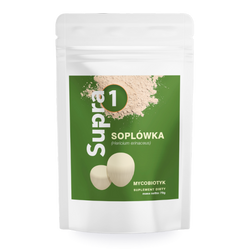 Supra1 Lion's mane powder 60 g
